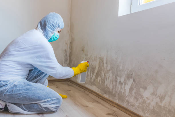 Bathroom Mold Removal assessment in Kirkwood bathroom